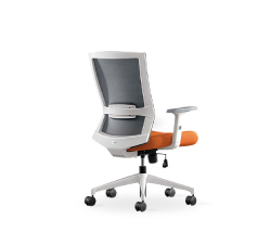 Iron Ergonomic Posture Chair